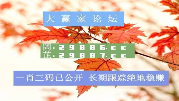 澳门彩资料查询，澳门彩资料查询大全部