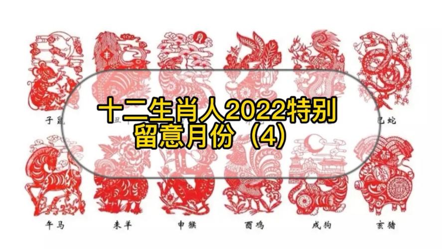 十二生肖开奖香港网站，十二生肖开奖香港网站2022