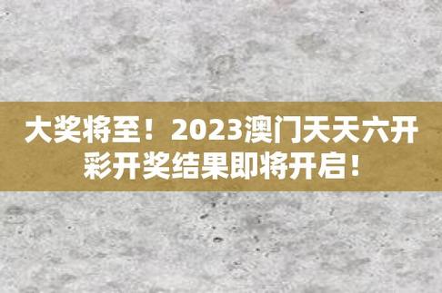 2024期澳门开奖结果查询，2024期澳门开奖结果查询表