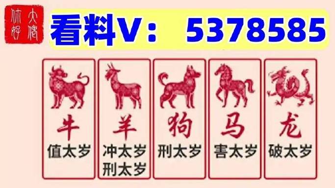 新澳门六开奖结果查询最新消息，新澳门六开奖结果查询最新消息今天