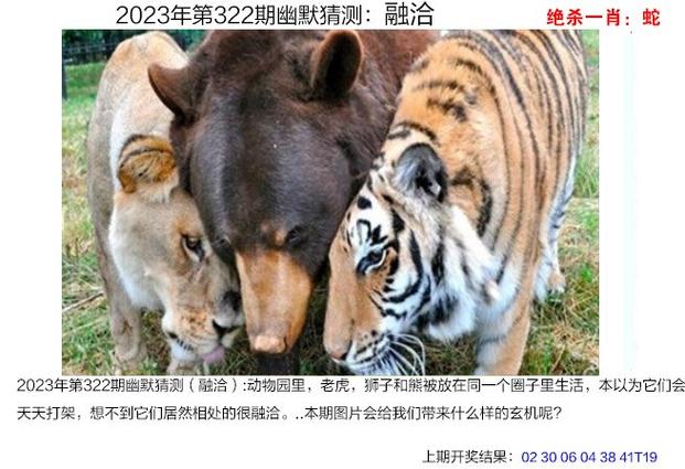 2023澳门正版资料大全免费,澳门正版资料免费大全公开,香港资料正版大全二四六，