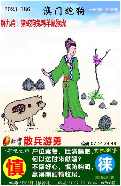 澳门管家婆精准资料期期准，