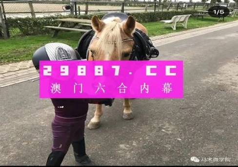 澳门最准资料免费网站1，澳门最准资料免费网站酷知网