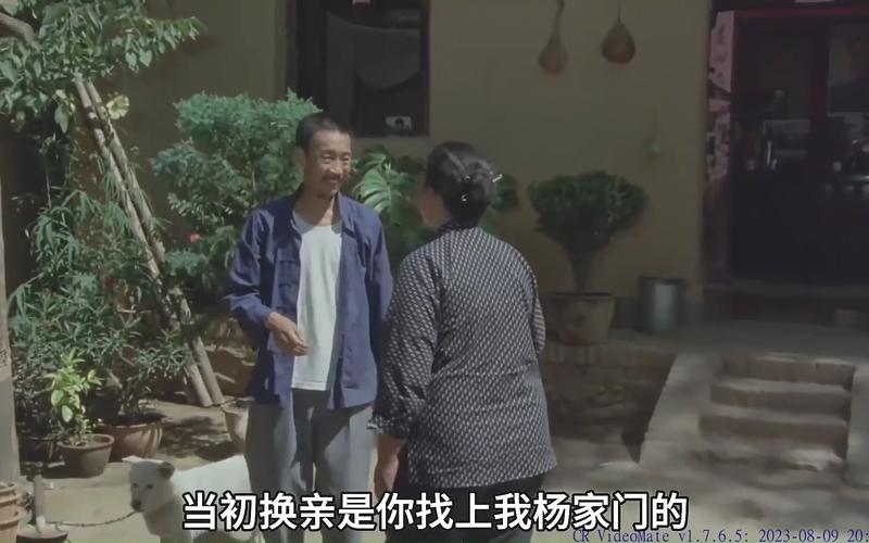 成全喜剧大全，成全喜剧大全在线观看