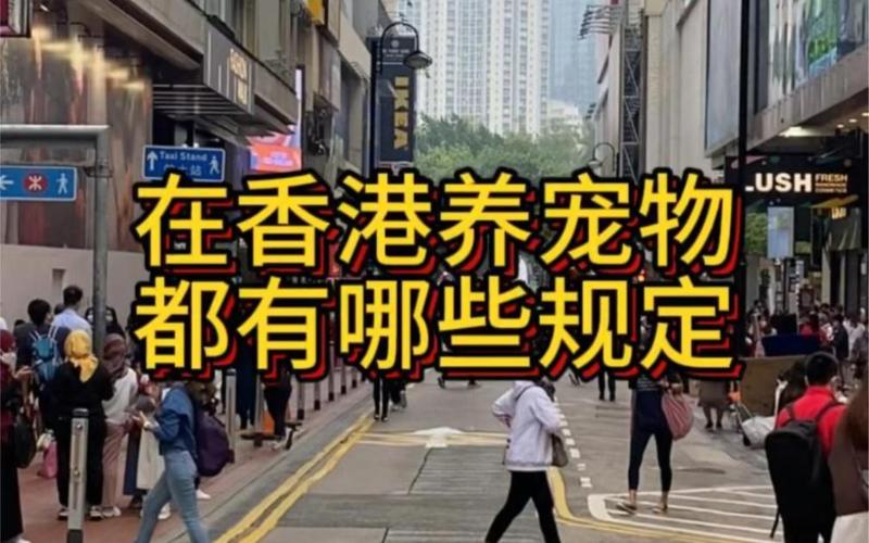 香港高清狗跑图片，香港高清狗跑图片解释