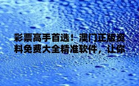 2024新澳门内部资料精准大全，2024新澳门内部资料精准大全软件