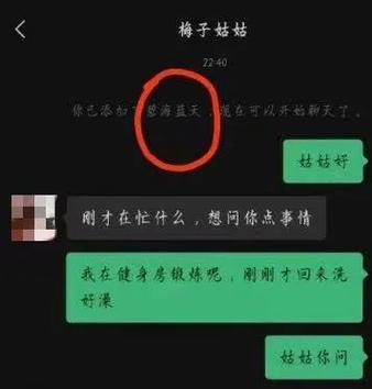 新澳门彩历史开奖记录走势图，新澳门彩历史开奖记录走势图表