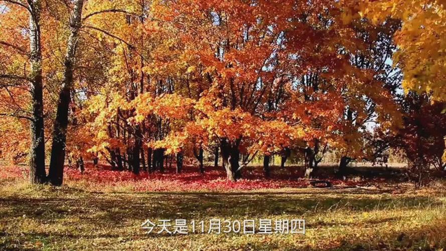 精准一码发财11，精准一码发财11月12日