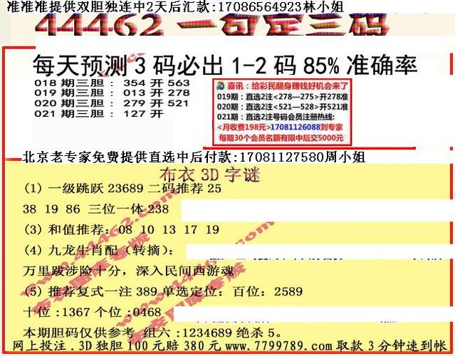 二码中特期期免费公开资料，4码中特期期包中