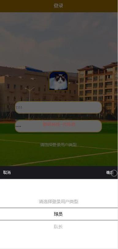 体育比赛报名系统，体育比赛报名系统app