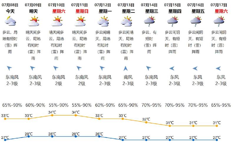 2024年12月16日 第13页