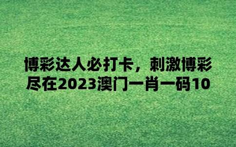 澳门一肖一码期期准资料最新版，