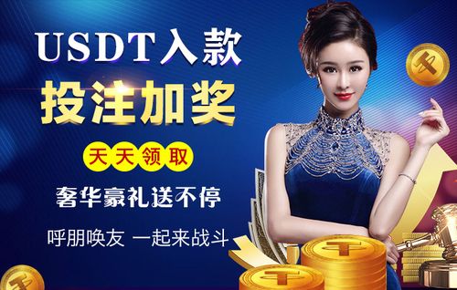 澳门开门奖结果，澳门开门奖结果公布