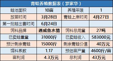 2025年1月1日 第5页