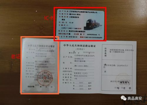 全国道路运输从业人员资格证电子版，全国道路运输从业人员资格证电子版查询