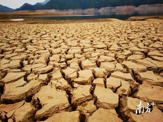 水库水位下降现古墓，水库水位下降现古墓怎么办