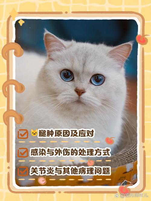 被宠物猫咬伤腿溃烂，被宠物猫咬伤腿溃烂怎么办