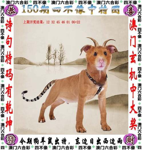 新澳彩免费长期资料大全:小麦3亩地仅收300斤