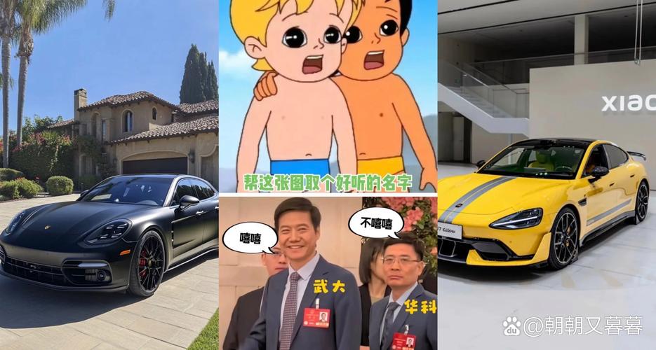 新澳今日图片分析:法拉利疑暗讽小米