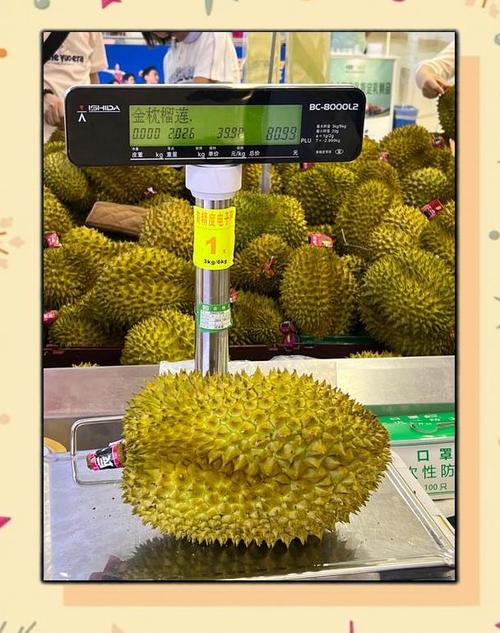 新澳今日图片分析:金枕榴莲降价300多