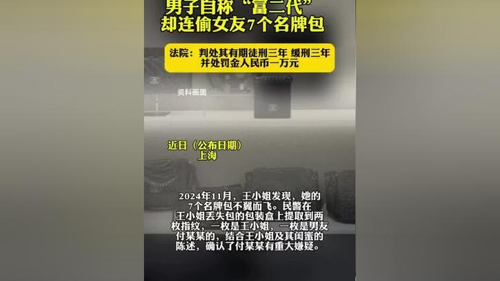新澳今日开奖结果:偷女友7个包卖11万